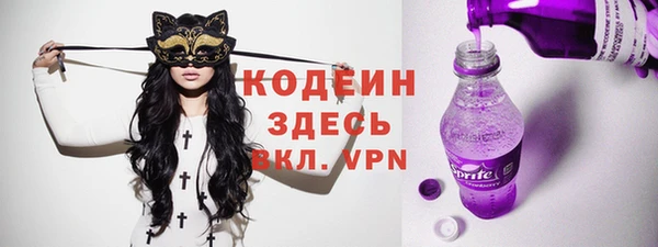 ECSTASY Алзамай