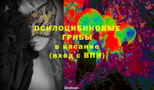 МДПВ Алексин