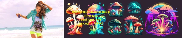 ECSTASY Алзамай