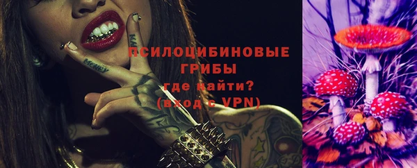 МДПВ Алексин