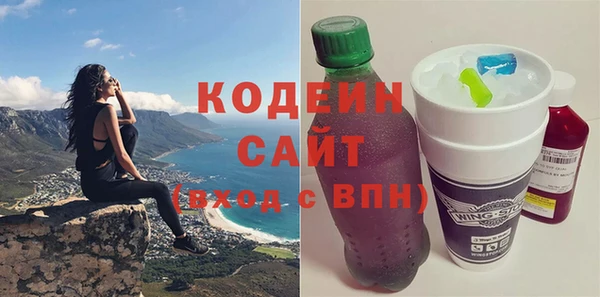 ECSTASY Алзамай
