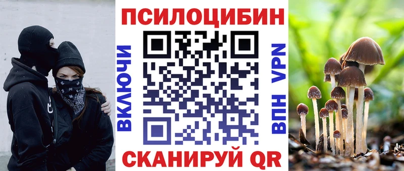hydra ссылки  Шумиха  Псилоцибиновые грибы Cubensis 
